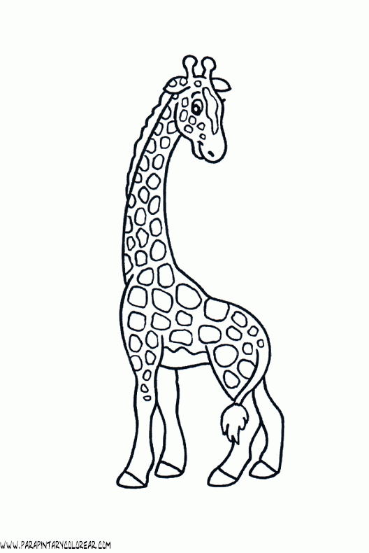 dibujos-de-girafas-51.gif