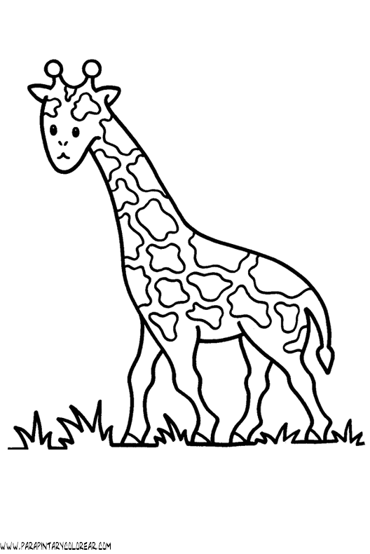 dibujos-de-girafas-52.gif