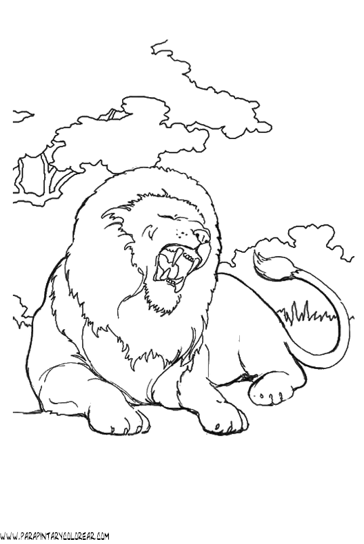 dibujos-de-leones-22.gif