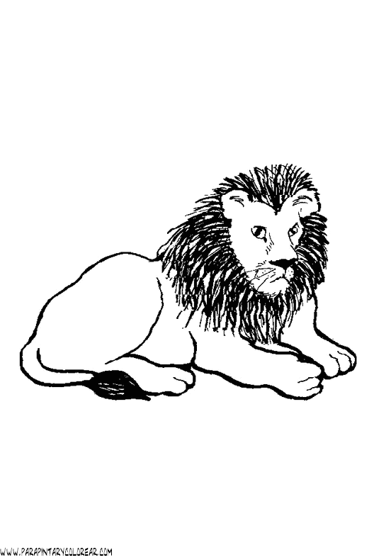 dibujos-de-leones-40.gif