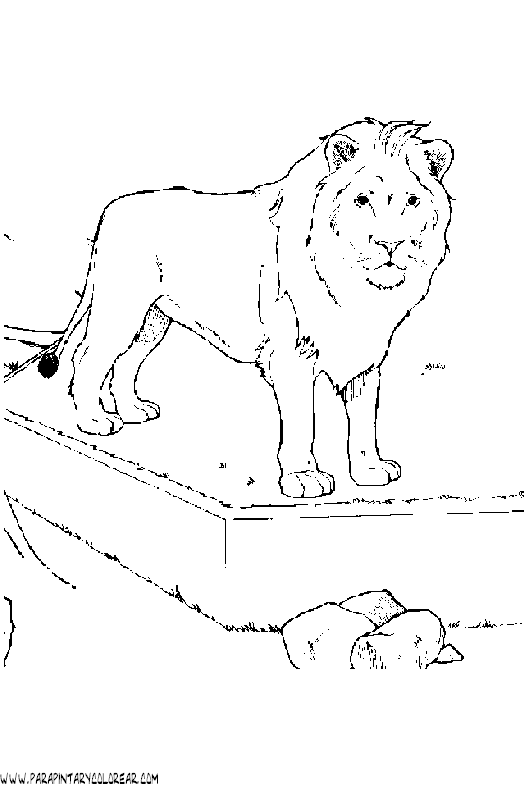 dibujos-de-leones-41.gif