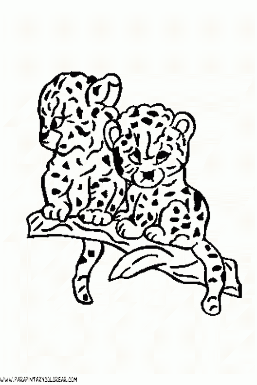 dibujos-de-leopardos-04.gif