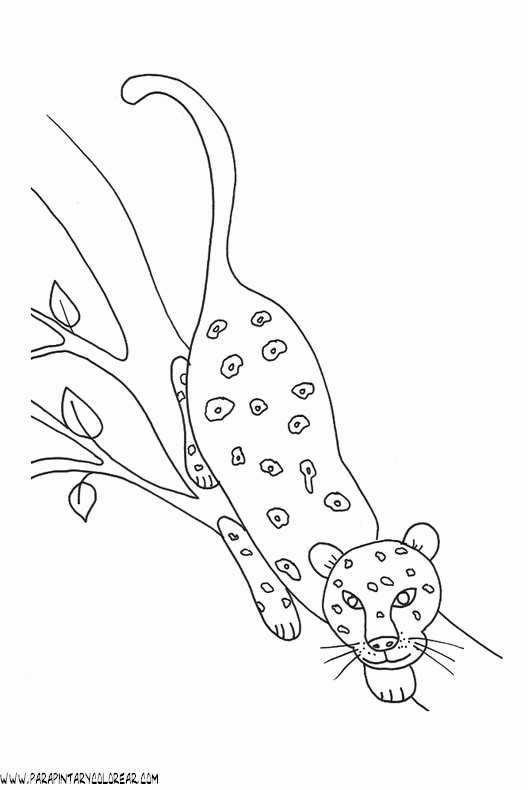 dibujos-de-leopardos-10.gif