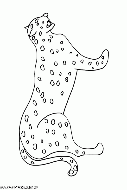 dibujos-de-leopardos-11.gif