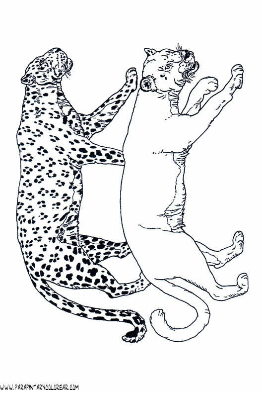 dibujos-de-leopardos-18.gif