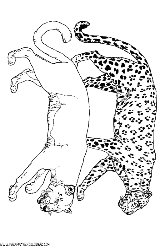 dibujos-de-leopardos-22.gif