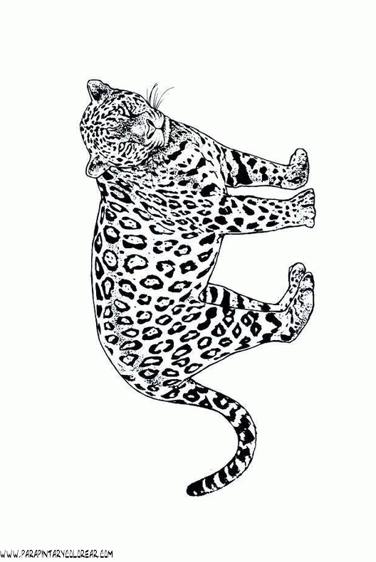 dibujos-de-leopardos-23.gif