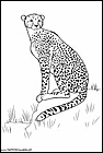 dibujos-de-leopardos-05.gif