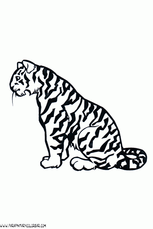 dibujos-de-tigres-003.gif