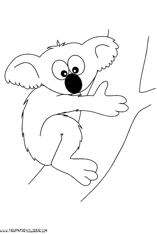 dibujos-de-koalas-06.gif