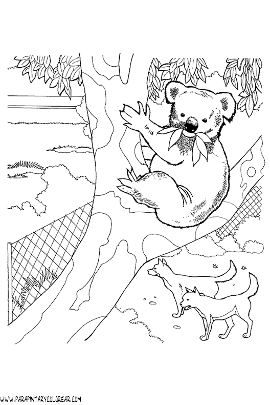 dibujos-de-koalas-09.gif