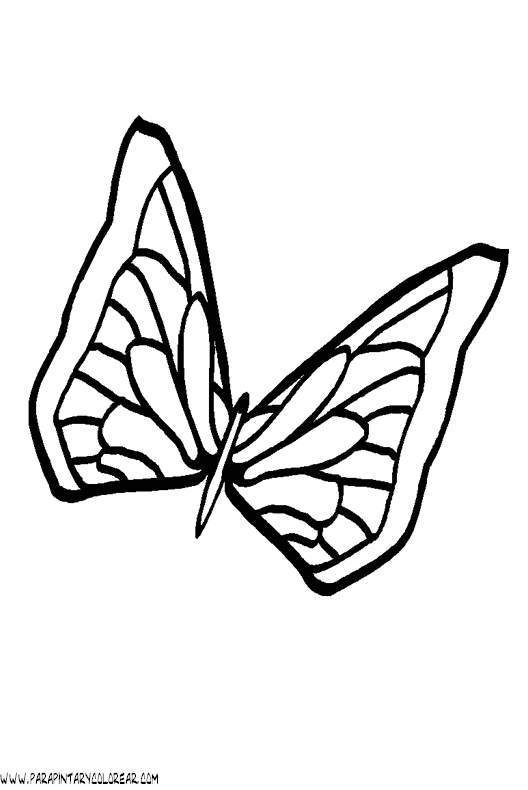 dibujos-de-mariposas-03.gif