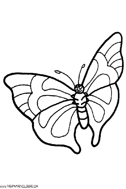 dibujos-de-mariposas-112.gif