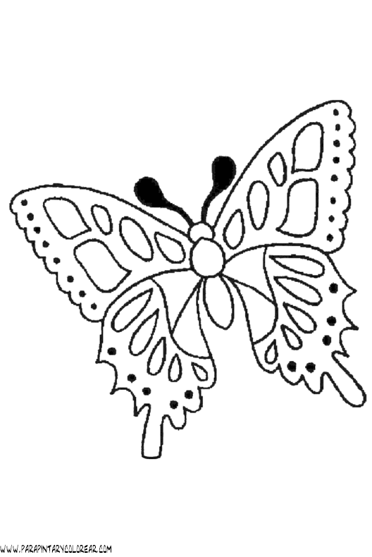 dibujos-de-mariposas-117.gif