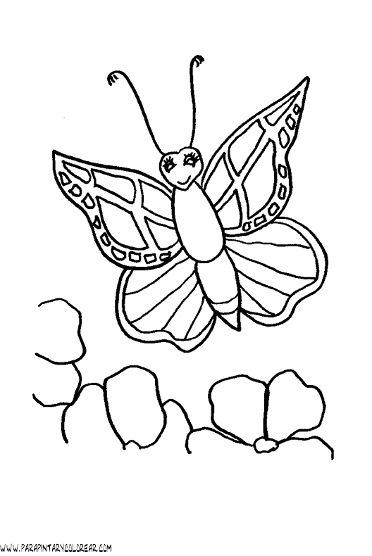 dibujos-de-mariposas-26.gif