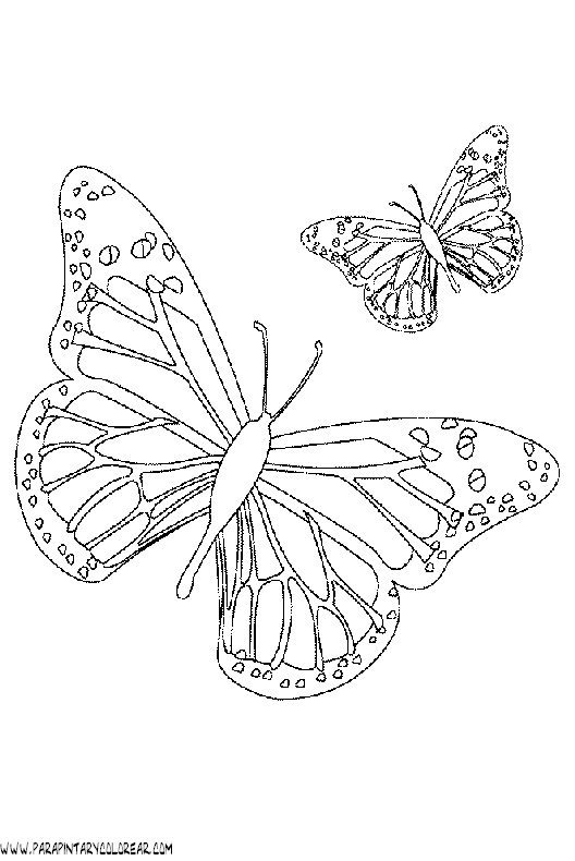 dibujos-de-mariposas-27.gif