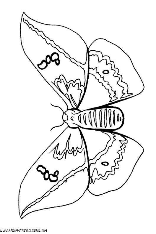 dibujos-de-mariposas-29.gif