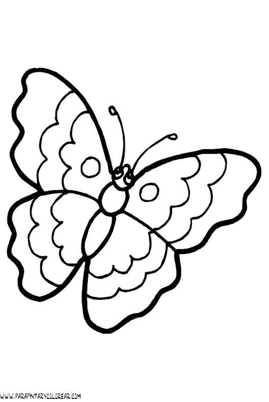 dibujos-de-mariposas-32.gif