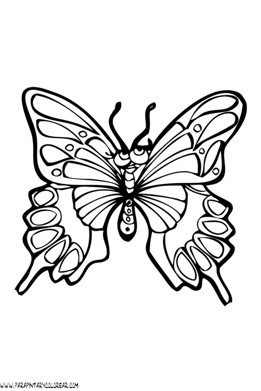 dibujos-de-mariposas-41.gif