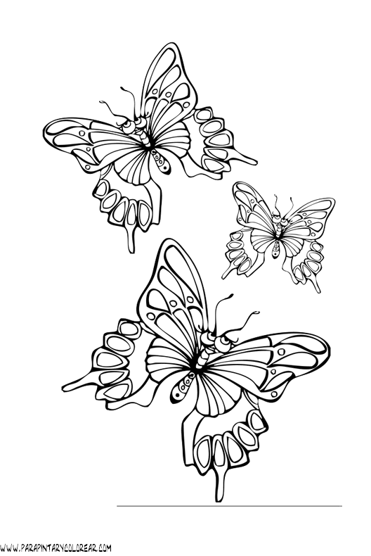 dibujos-de-mariposas-42.gif