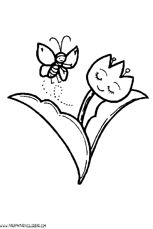 dibujos-de-mariposas-45.gif