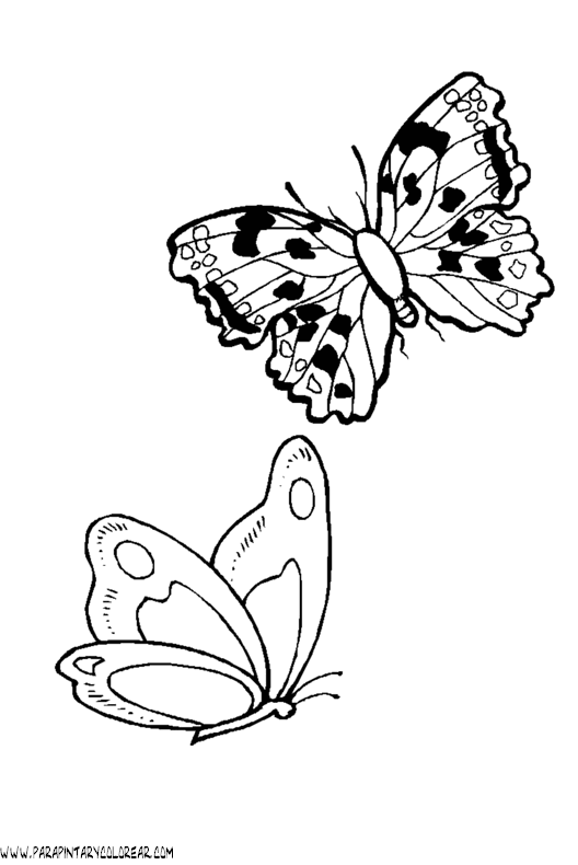 dibujos-de-mariposas-50.gif