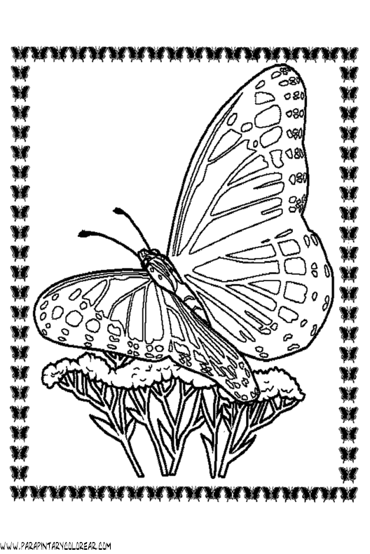 dibujos-de-mariposas-53.gif