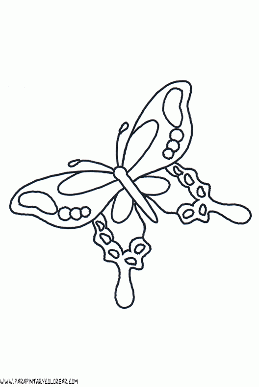 dibujos-de-mariposas-56.gif