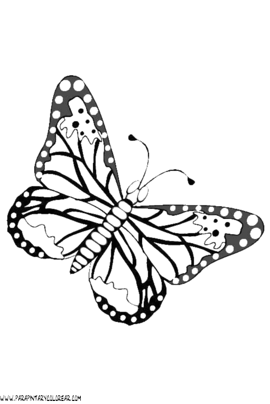 dibujos-de-mariposas-74.gif