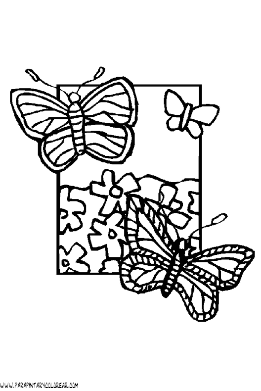 dibujos-de-mariposas-77.gif