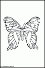 dibujos-de-mariposas-38.gif