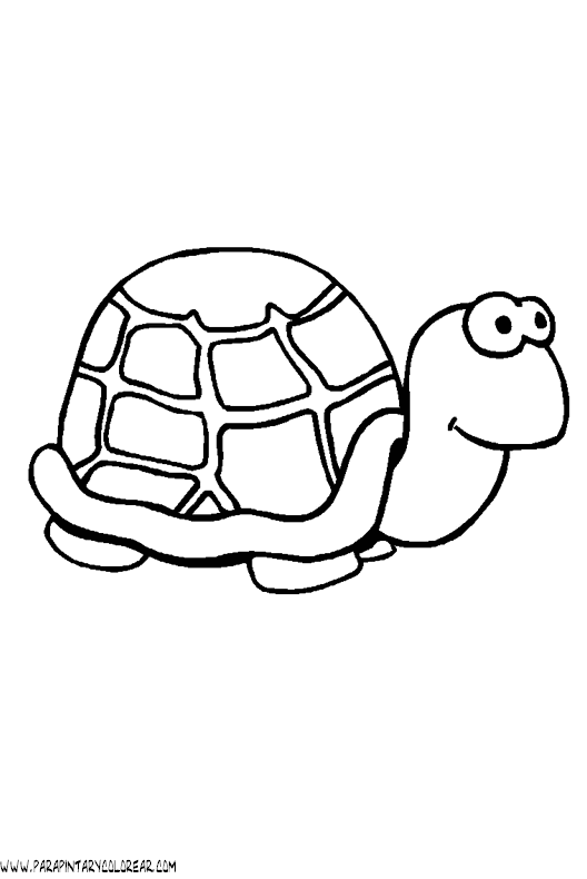 a1dibujos-de-tortugas-006.gif