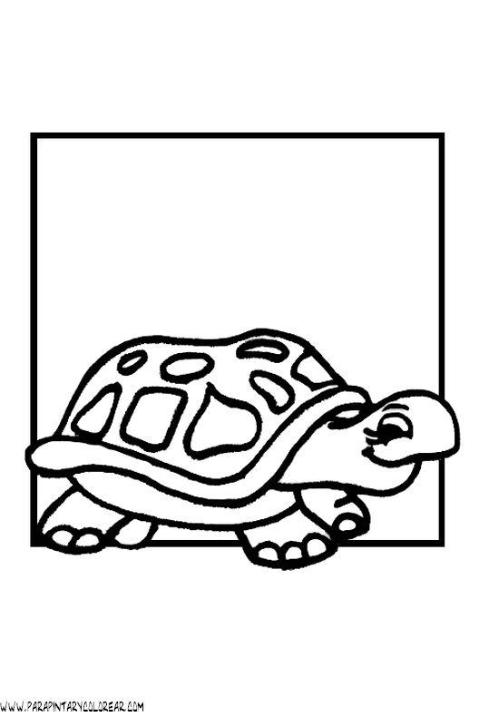 dibujos-de-tortugas-007.gif