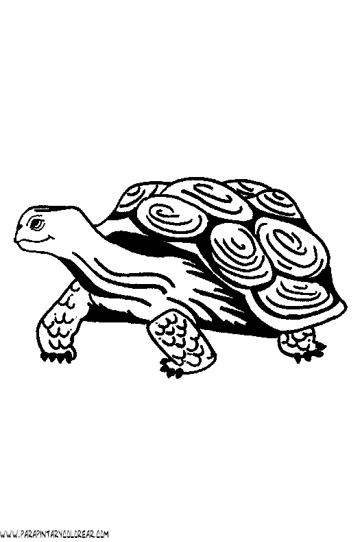 dibujos-de-tortugas-021.gif