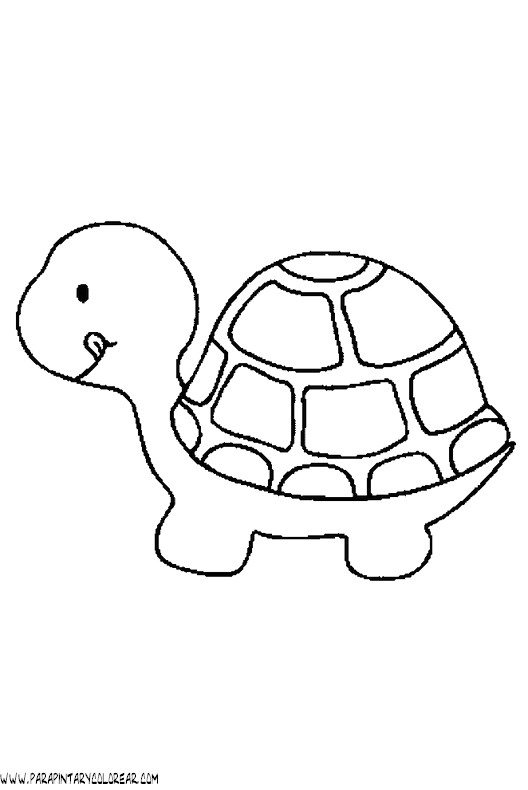 dibujos-de-tortugas-023.gif