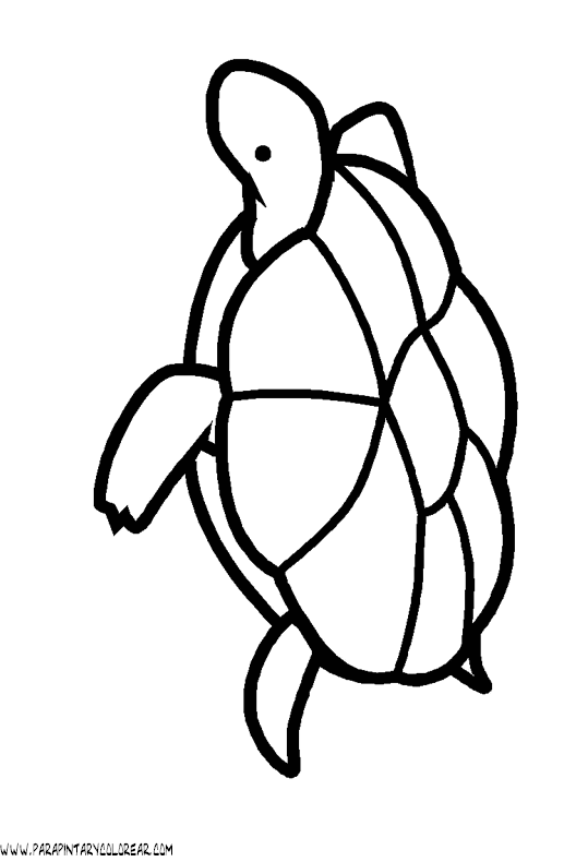 dibujos-de-tortugas-055.gif