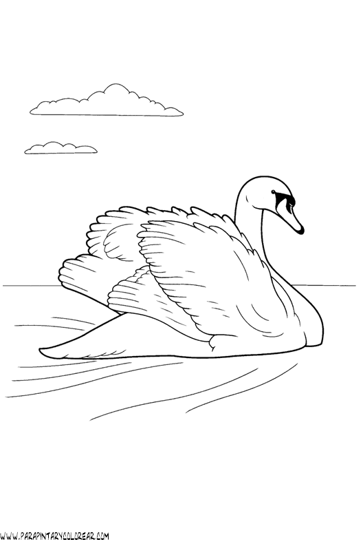 dibujos-de-cisnes-08.gif