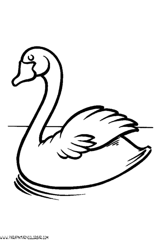 dibujos-de-cisnes-10.gif