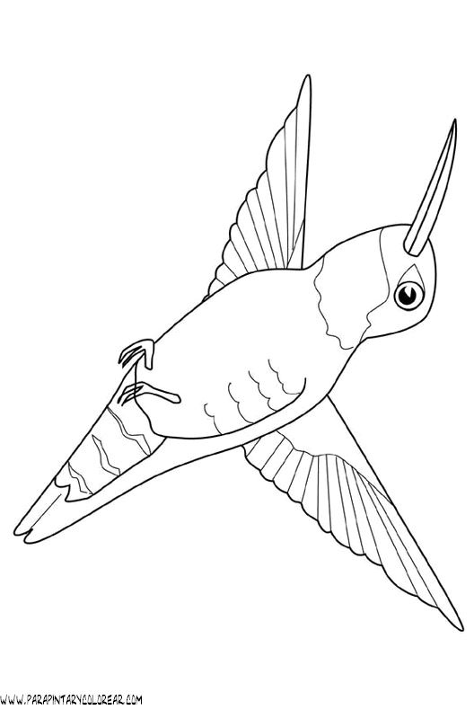 dibujos-de-colibris-03.gif