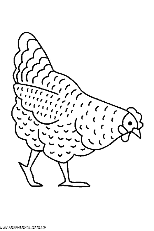 dibujos-de-gallinas-02.gif