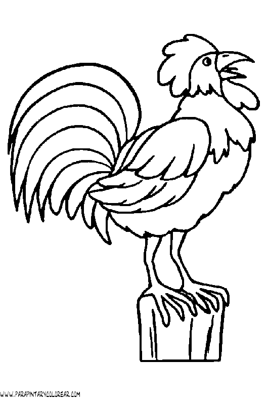 dibujos-de-gallos-15.gif