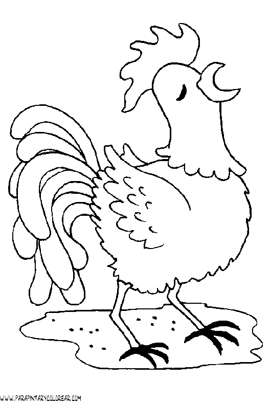 dibujos-de-gallos-30.gif