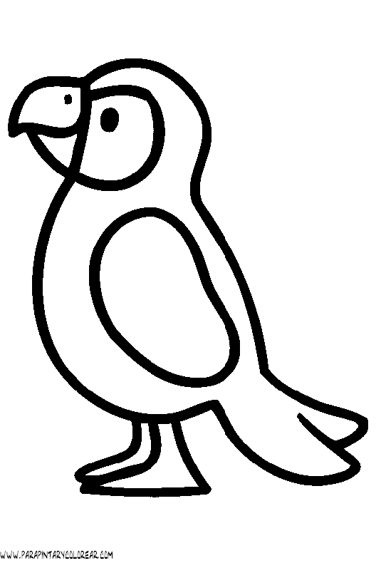 dibujos-de-loros-01