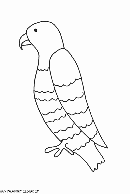 dibujos-de-loros-22.gif