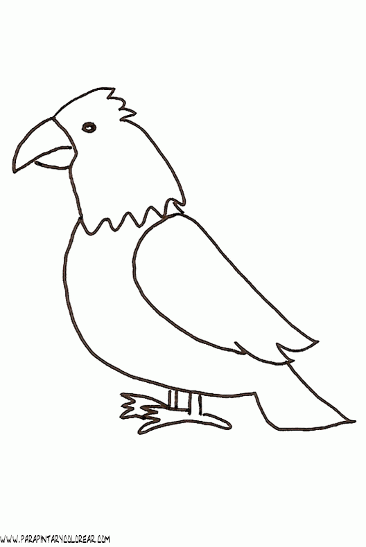 dibujos-de-loros-23.gif