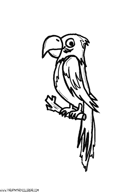 dibujos-de-loros-37.gif