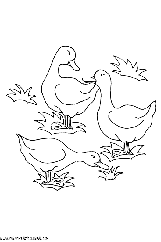 dibujos-de-patos-24.gif