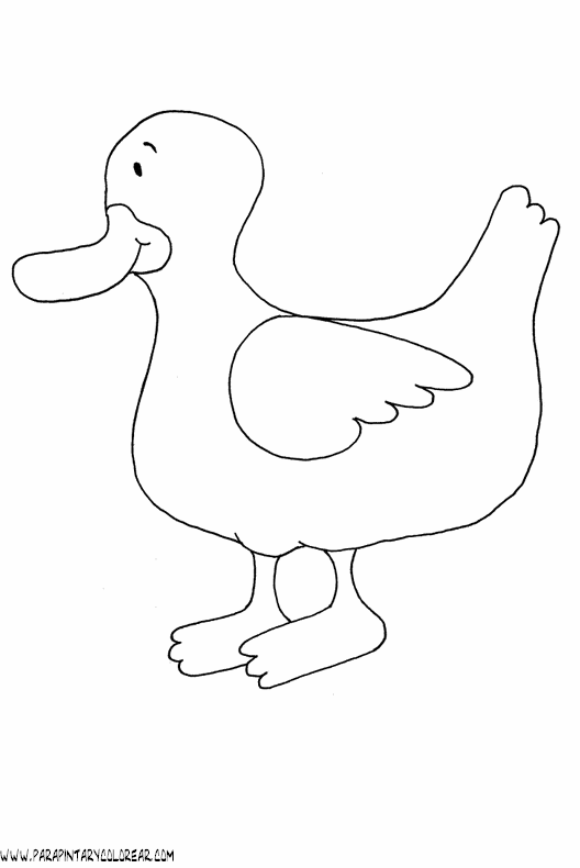 dibujos-de-patos-42.gif