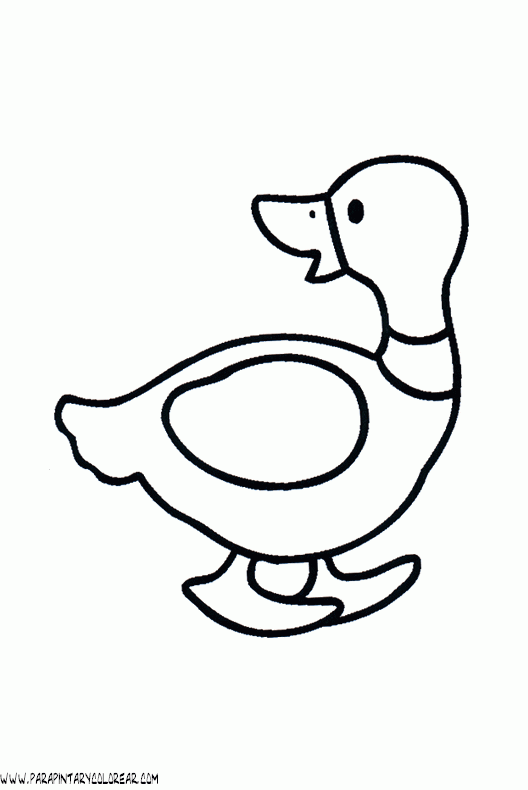 dibujos-de-patos-68.gif