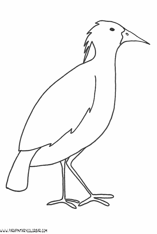 dibujos-de-pajaros-95.gif